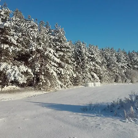 Marise Holiday Nyaraló Õeste