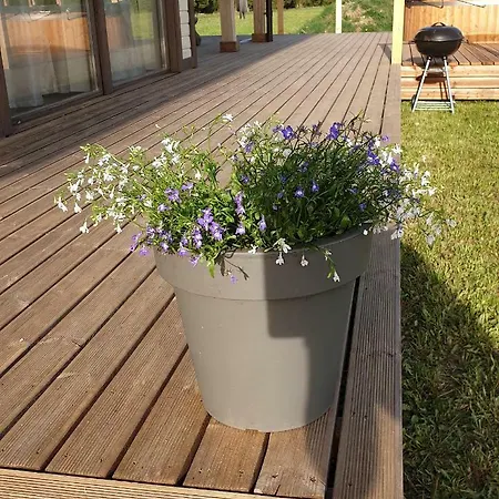 Marise Holiday Nyaraló Õeste